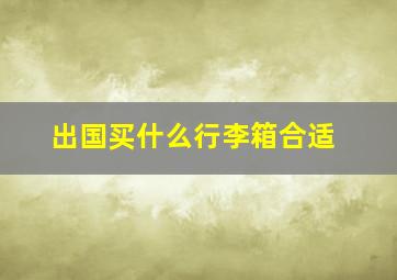 出国买什么行李箱合适