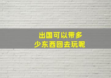 出国可以带多少东西回去玩呢