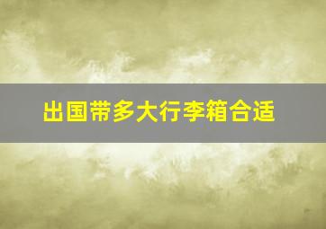 出国带多大行李箱合适