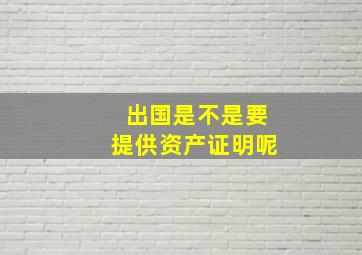 出国是不是要提供资产证明呢