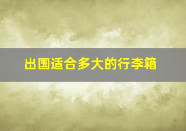 出国适合多大的行李箱