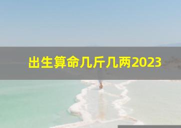 出生算命几斤几两2023