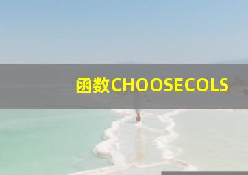 函数CHOOSECOLS