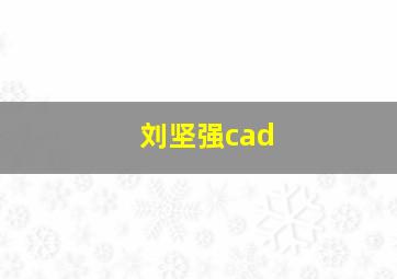 刘坚强cad