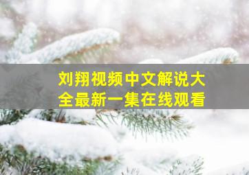 刘翔视频中文解说大全最新一集在线观看