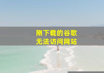 刚下载的谷歌无法访问网站