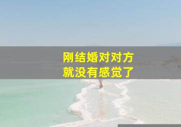 刚结婚对对方就没有感觉了