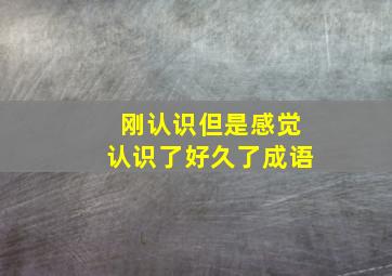 刚认识但是感觉认识了好久了成语