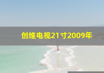 创维电视21寸2009年