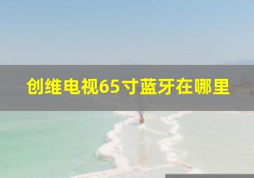 创维电视65寸蓝牙在哪里