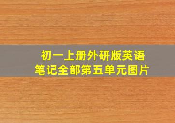 初一上册外研版英语笔记全部第五单元图片