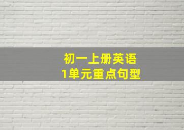 初一上册英语1单元重点句型