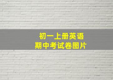 初一上册英语期中考试卷图片