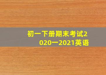 初一下册期末考试2020一2021英语