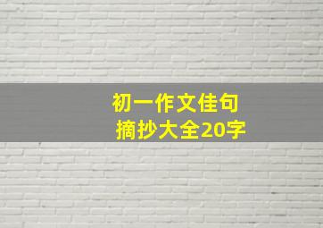 初一作文佳句摘抄大全20字