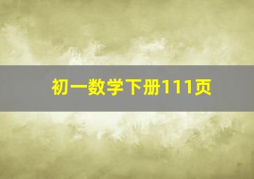 初一数学下册111页