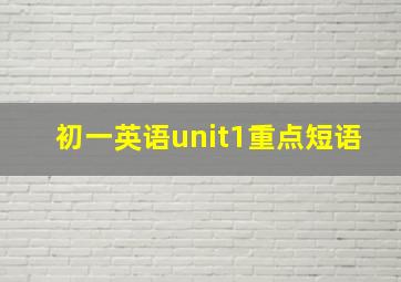 初一英语unit1重点短语