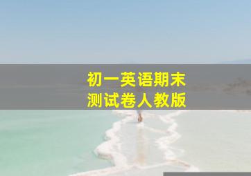 初一英语期末测试卷人教版