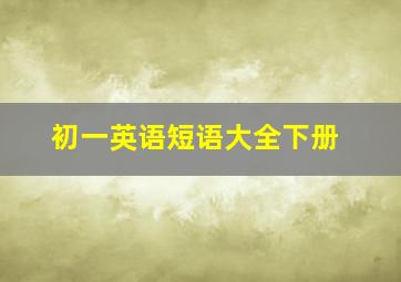 初一英语短语大全下册