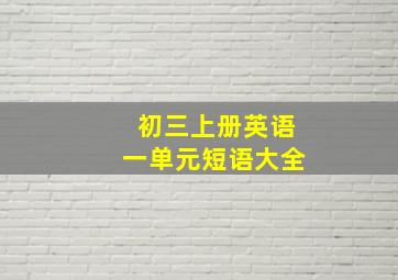 初三上册英语一单元短语大全