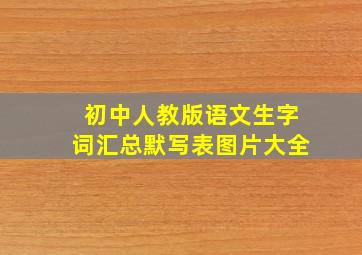 初中人教版语文生字词汇总默写表图片大全