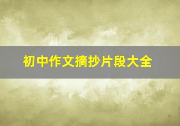 初中作文摘抄片段大全