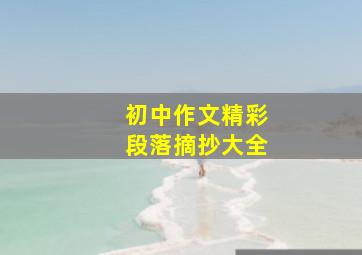 初中作文精彩段落摘抄大全