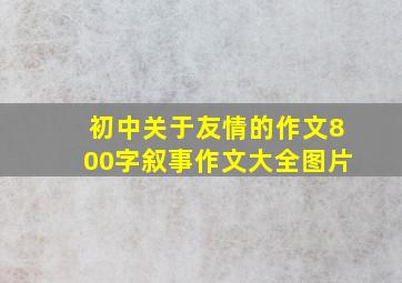 初中关于友情的作文800字叙事作文大全图片