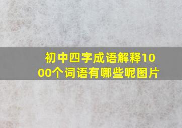 初中四字成语解释1000个词语有哪些呢图片