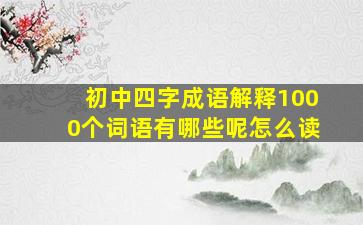 初中四字成语解释1000个词语有哪些呢怎么读