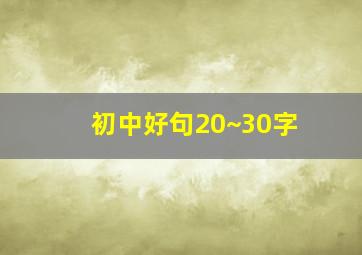 初中好句20~30字