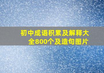 初中成语积累及解释大全800个及造句图片