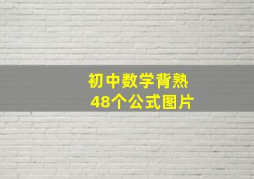 初中数学背熟48个公式图片