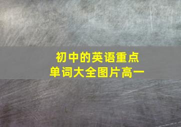 初中的英语重点单词大全图片高一