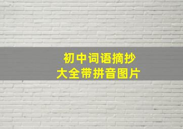 初中词语摘抄大全带拼音图片