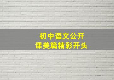 初中语文公开课美篇精彩开头