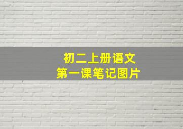 初二上册语文第一课笔记图片