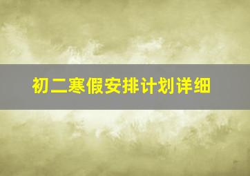 初二寒假安排计划详细