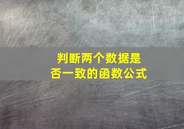 判断两个数据是否一致的函数公式