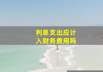 利息支出应计入财务费用吗