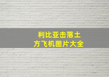 利比亚击落土方飞机图片大全