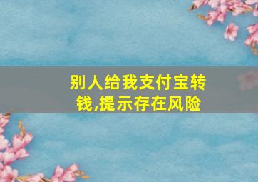 别人给我支付宝转钱,提示存在风险