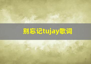 别忘记tujay歌词