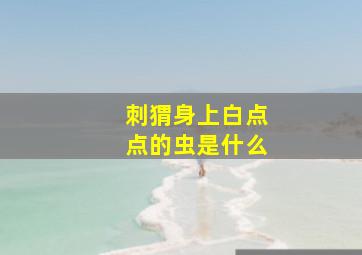 刺猬身上白点点的虫是什么