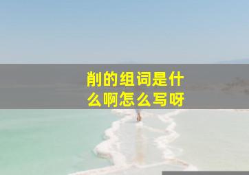 削的组词是什么啊怎么写呀