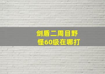 剑盾二周目野怪60级在哪打