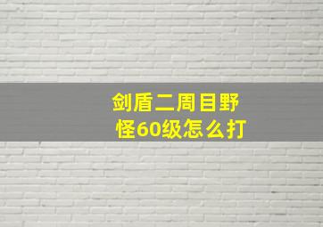 剑盾二周目野怪60级怎么打