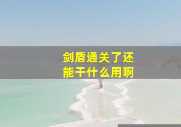 剑盾通关了还能干什么用啊