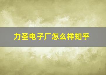 力圣电子厂怎么样知乎