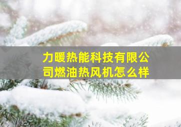 力暖热能科技有限公司燃油热风机怎么样